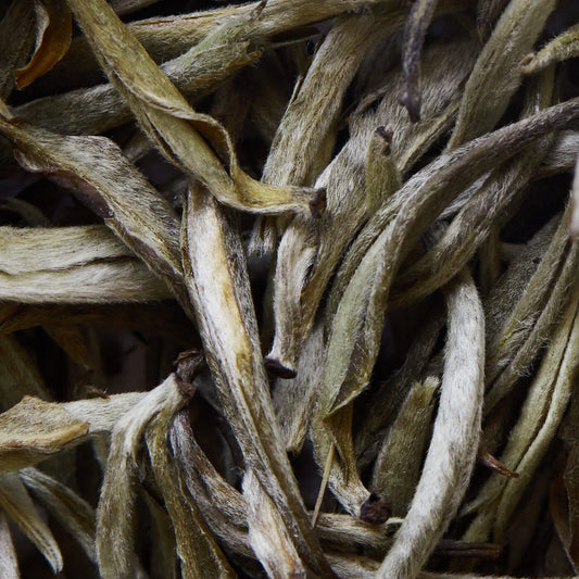 Tè bianco YUNNAN YIN ZHEN - 50 g