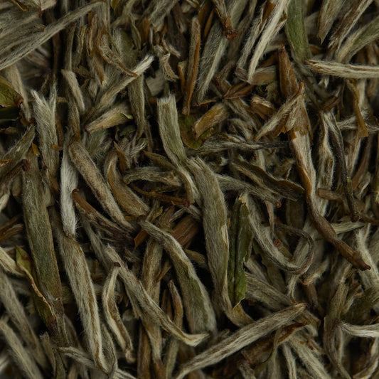 Tè bianco BAI HAO YIN ZHEN - 50 g